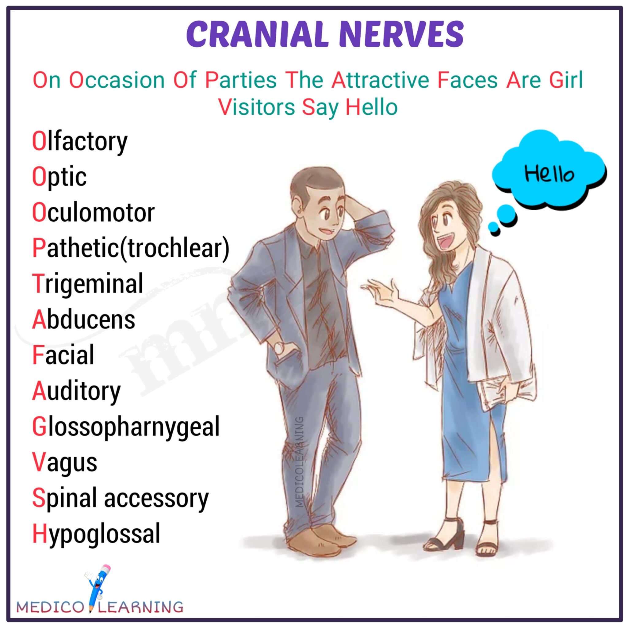 10 Mnemonic Tips for Remembering Cranial Nerves Easily 10 Mnemonic Tips for Remembering Cranial Nerves Easily