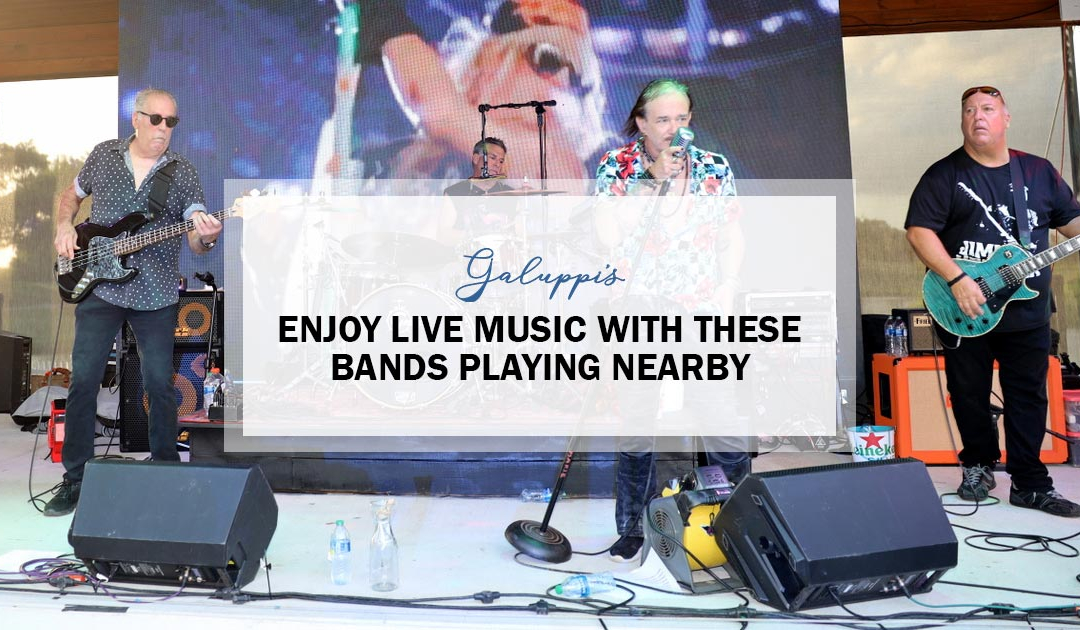 5 Fun Ways to Play One Life Near You